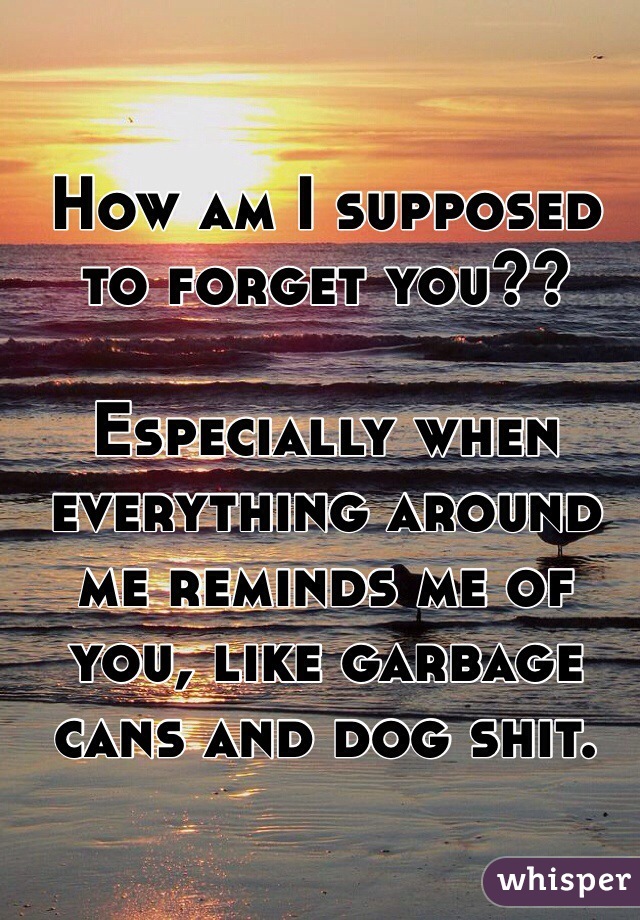 How am I supposed to forget you?? 

Especially when everything around me reminds me of you, like garbage cans and dog shit. 