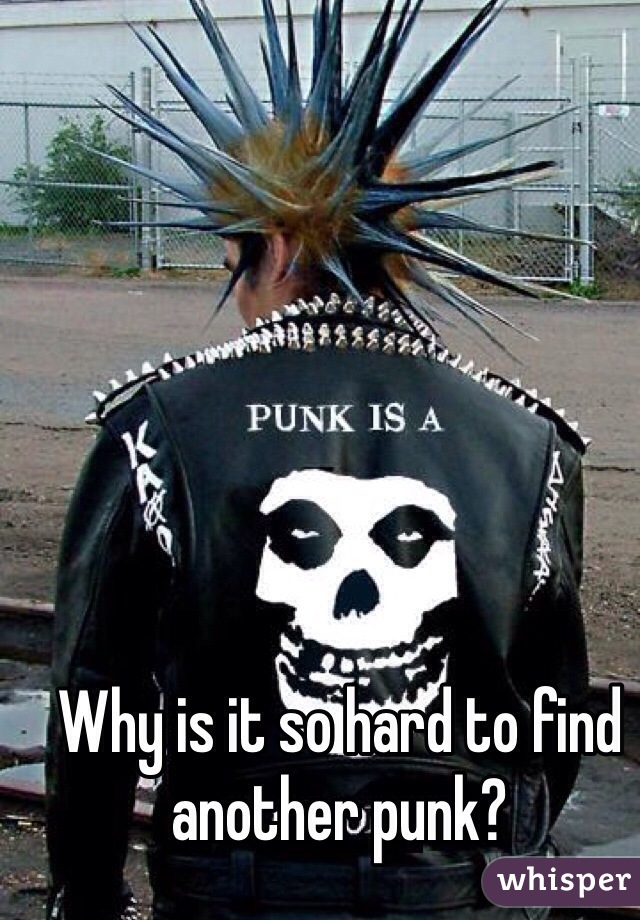 Why is it so hard to find another punk?