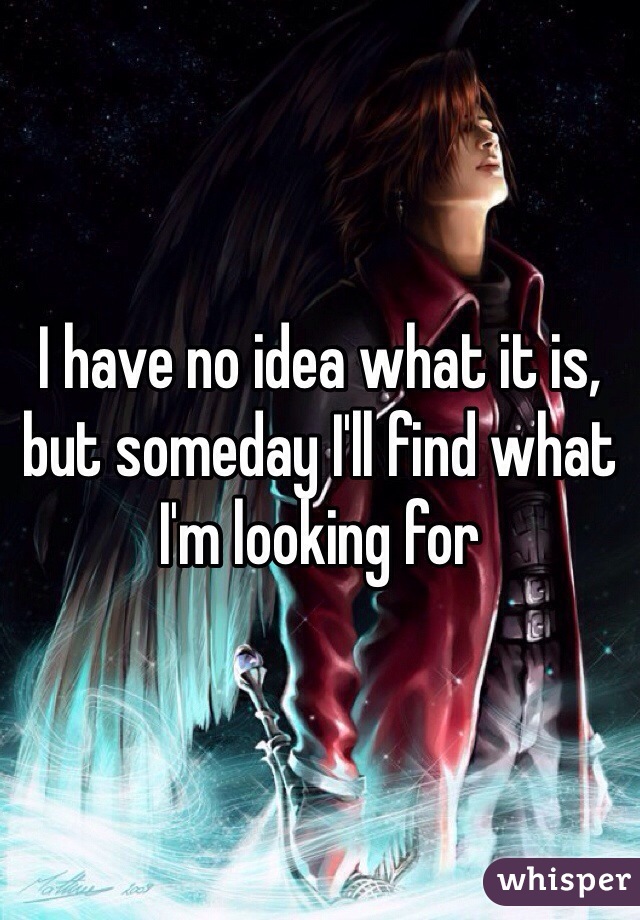 I have no idea what it is, but someday I'll find what I'm looking for