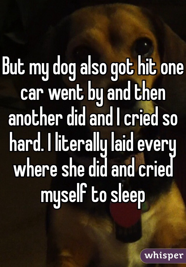 But my dog also got hit one car went by and then another did and I cried so hard. I literally laid every where she did and cried myself to sleep 