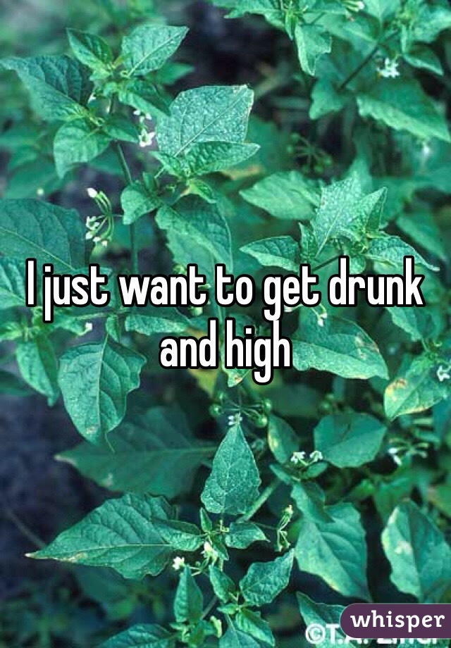 I just want to get drunk and high