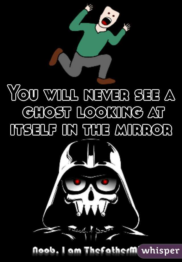 You will never see a ghost looking at itself in the mirror 