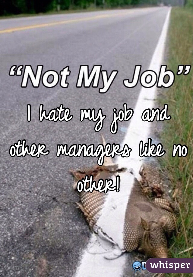I hate my job and other managers like no other! 