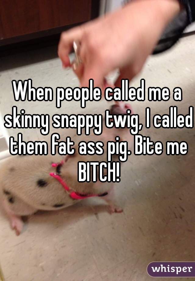 When people called me a skinny snappy twig, I called them fat ass pig. Bite me BITCH!