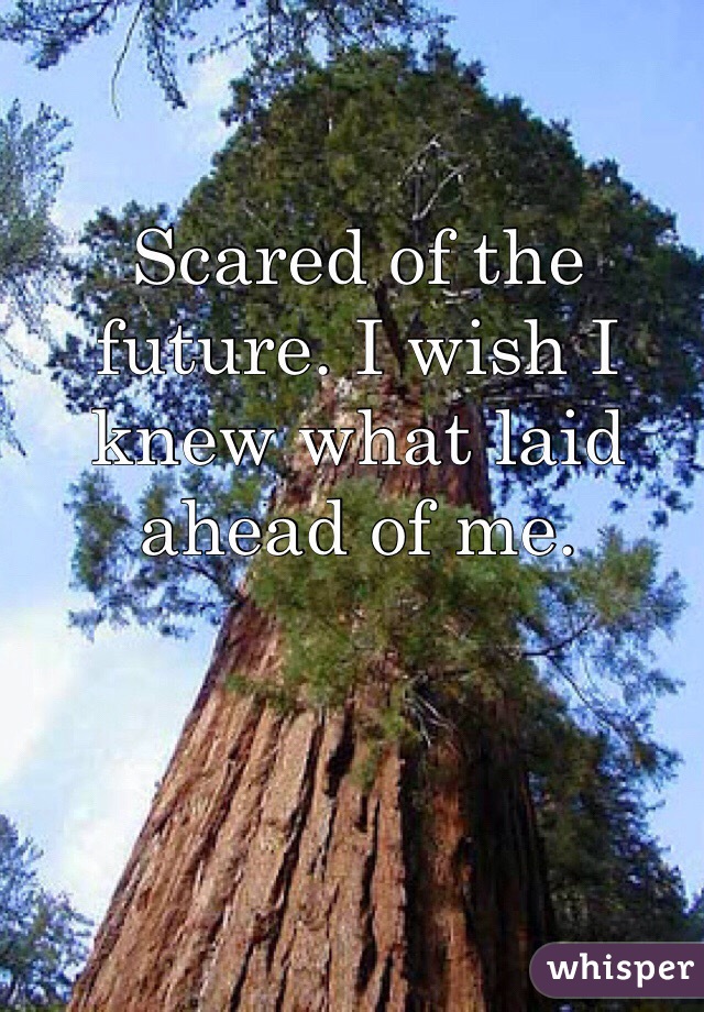 Scared of the future. I wish I knew what laid ahead of me. 