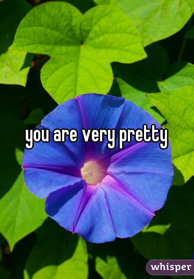 you are very pretty