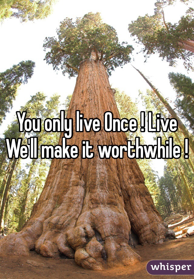 You only live Once ! Live We'll make it worthwhile ! 