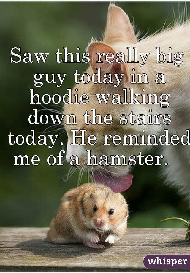 Saw this really big guy today in a hoodie walking down the stairs today. He reminded me of a hamster.   