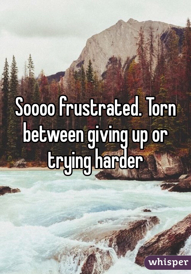 Soooo frustrated. Torn between giving up or trying harder 