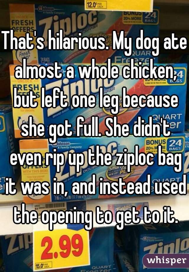 That's hilarious. My dog ate almost a whole chicken, but left one leg because she got full. She didn't even rip up the ziploc bag it was in, and instead used the opening to get to it.