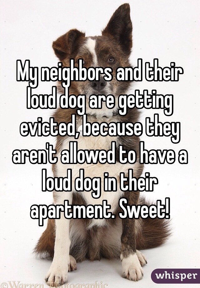 My neighbors and their loud dog are getting evicted, because they aren't allowed to have a loud dog in their apartment. Sweet! 