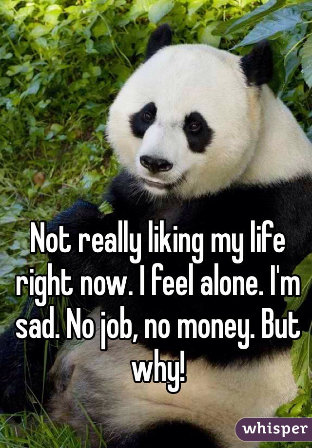 Not really liking my life right now. I feel alone. I'm sad. No job, no money. But why!