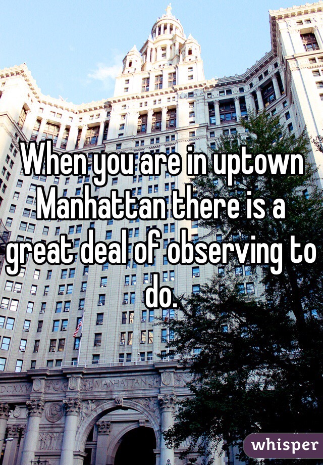 When you are in uptown Manhattan there is a great deal of observing to do. 