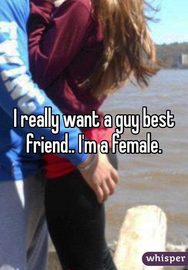 I really want a guy best friend.. I'm a female.