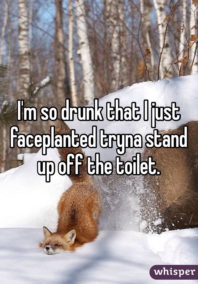 I'm so drunk that I just faceplanted tryna stand up off the toilet.