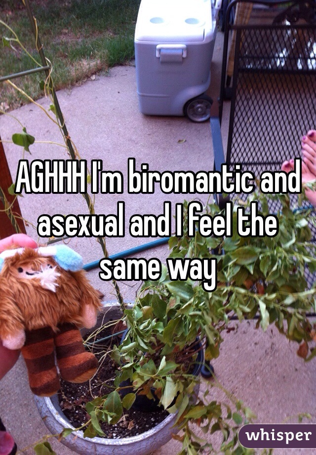 AGHHH I'm biromantic and asexual and I feel the same way
