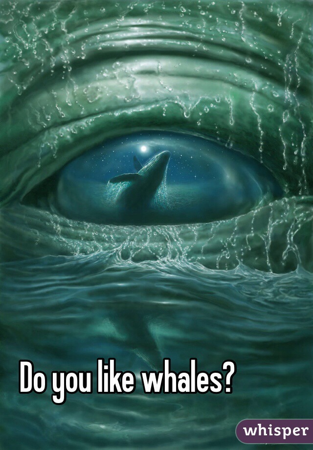 Do you like whales? 