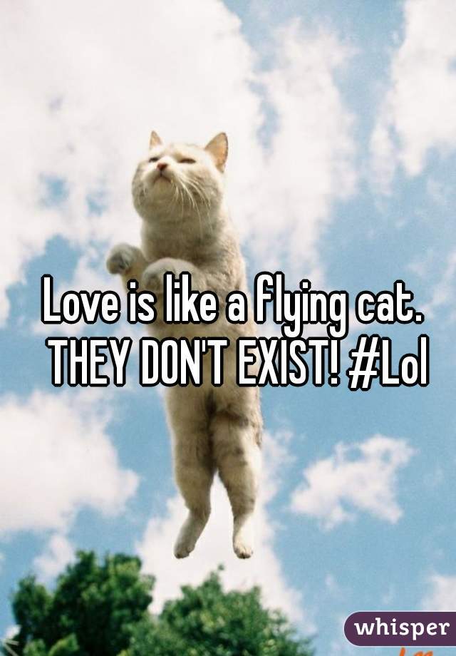 Love is like a flying cat. THEY DON'T EXIST! #Lol