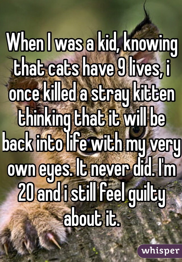 When I was a kid, knowing that cats have 9 lives, i once killed a stray kitten thinking that it will be back into life with my very own eyes. It never did. I'm 20 and i still feel guilty about it. 