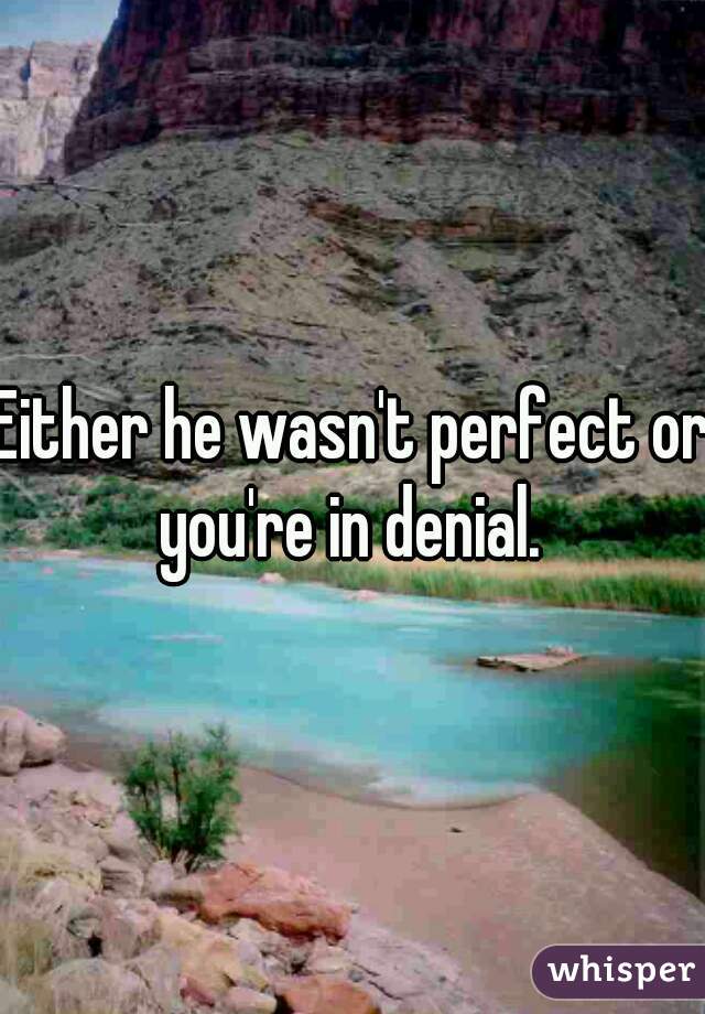 Either he wasn't perfect or you're in denial. 