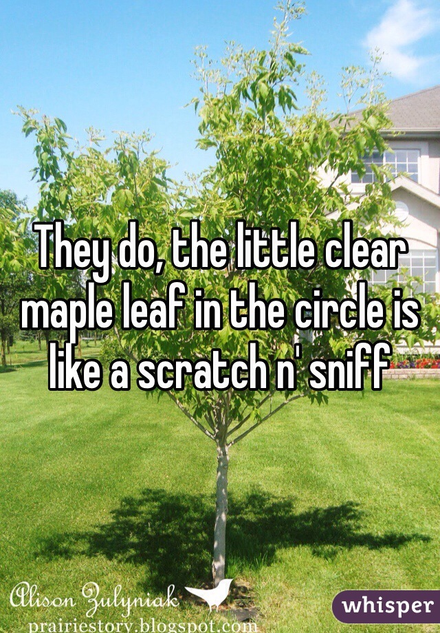 They do, the little clear maple leaf in the circle is like a scratch n' sniff