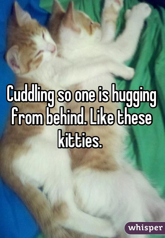 Cuddling so one is hugging from behind. Like these kitties. 
