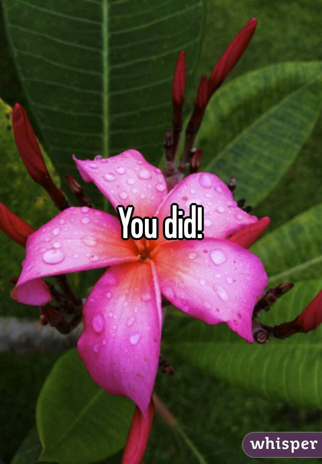 You did!