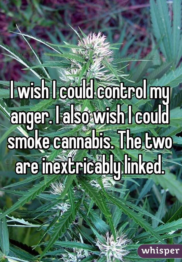 I wish I could control my anger. I also wish I could smoke cannabis. The two are inextricably linked. 