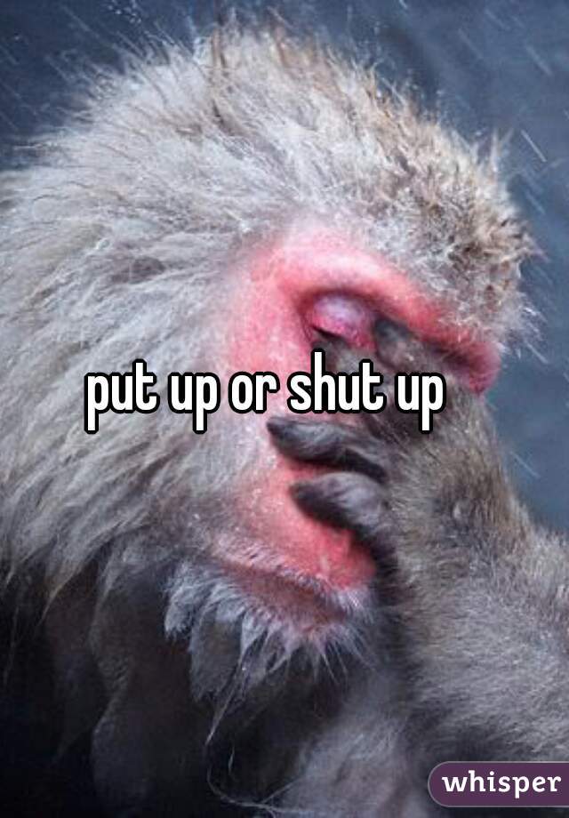 put up or shut up   
