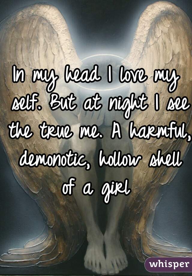 In my head I love my self. But at night I see the true me. A harmful, demonotic, hollow shell of a girl 