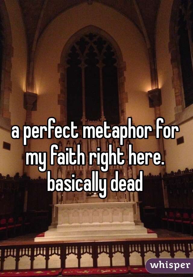 a perfect metaphor for my faith right here. basically dead