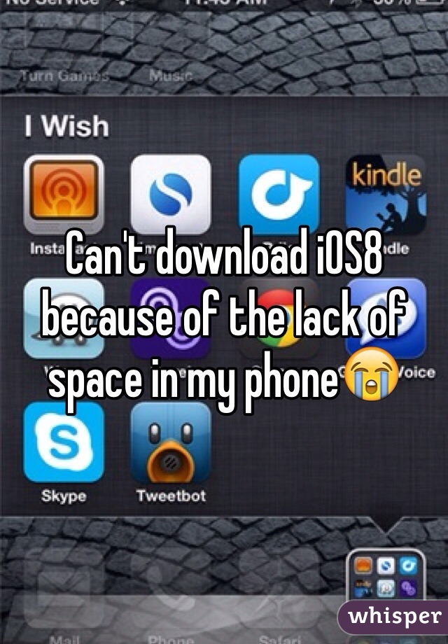 Can't download iOS8 because of the lack of space in my phone😭