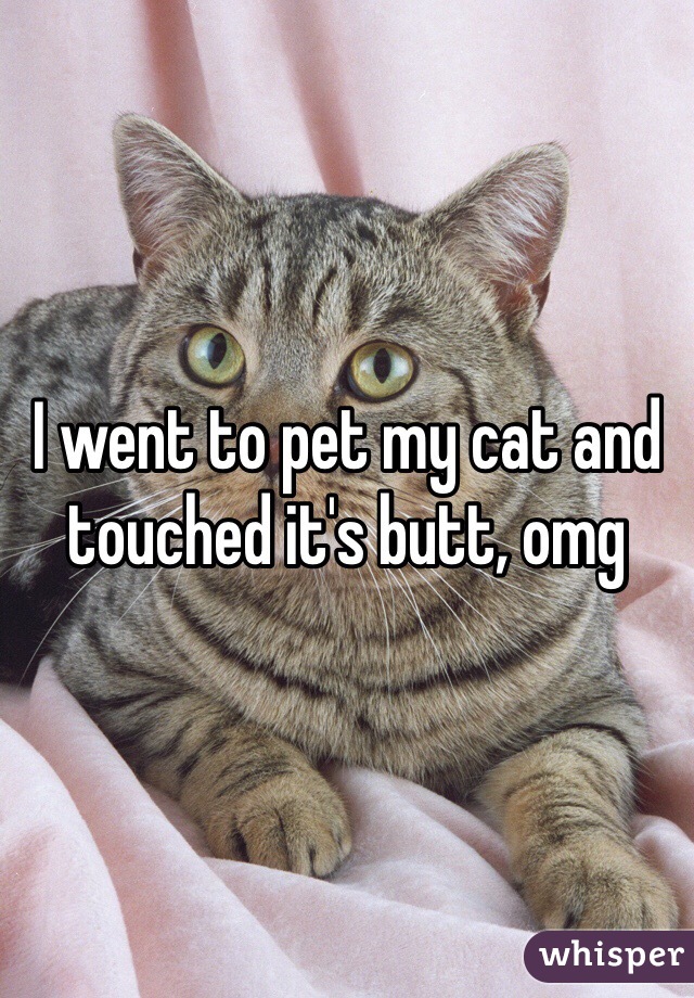 I went to pet my cat and touched it's butt, omg