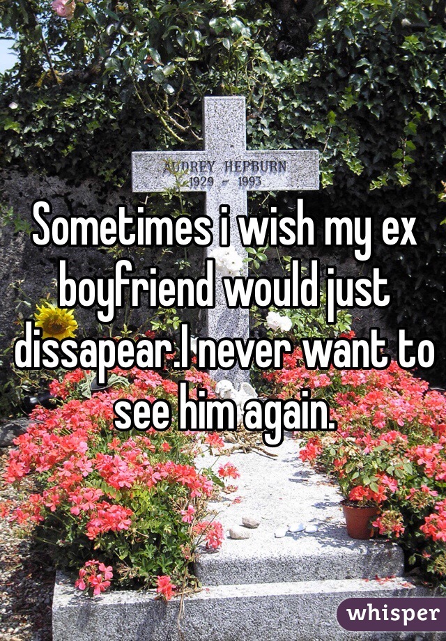 Sometimes i wish my ex boyfriend would just dissapear.I never want to see him again.