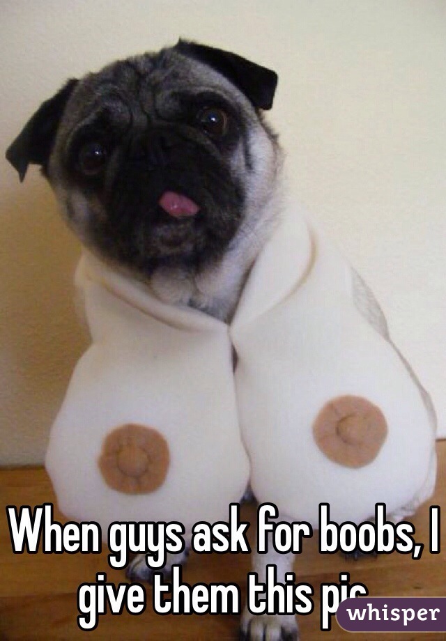 When guys ask for boobs, I give them this pic