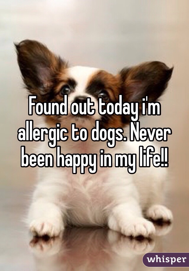 Found out today i'm allergic to dogs. Never been happy in my life!!
