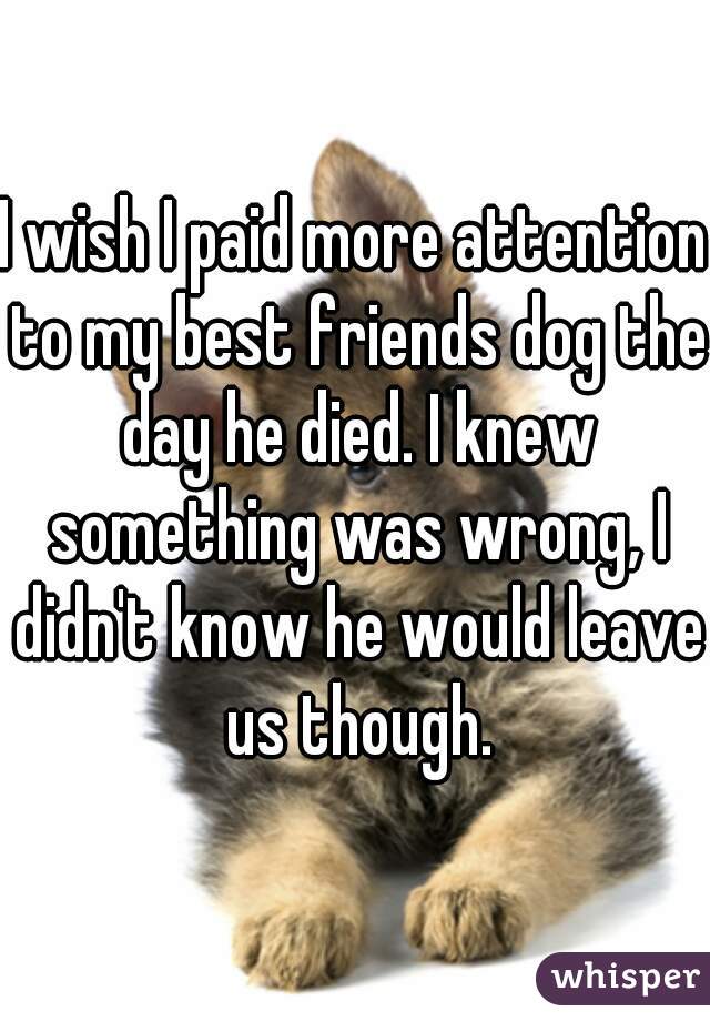 I wish I paid more attention to my best friends dog the day he died. I knew something was wrong, I didn't know he would leave us though.