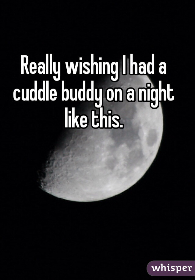 Really wishing I had a cuddle buddy on a night like this. 