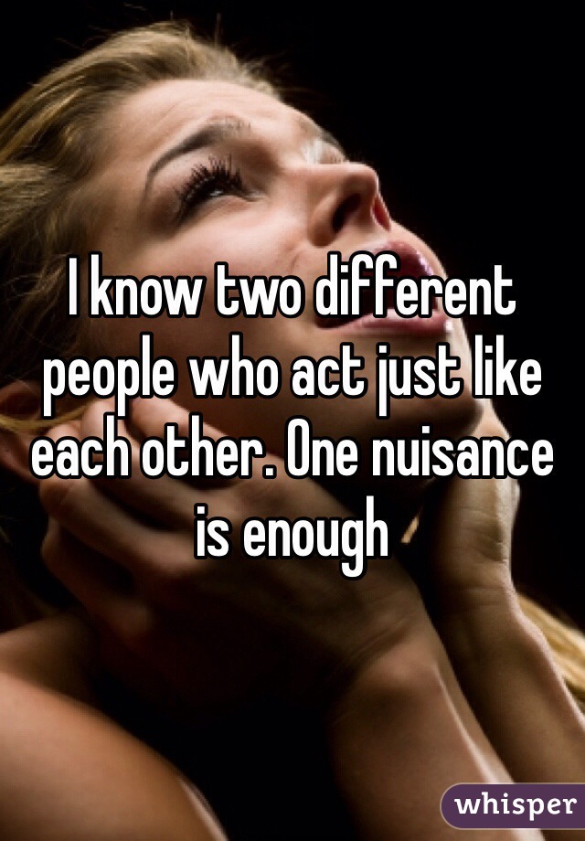 I know two different people who act just like each other. One nuisance is enough