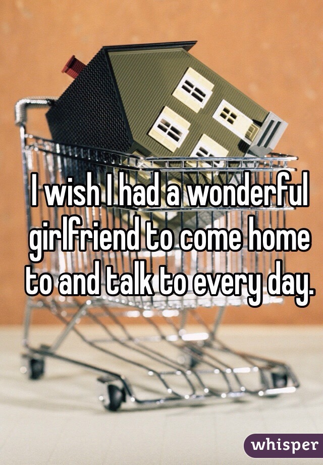I wish I had a wonderful girlfriend to come home to and talk to every day. 