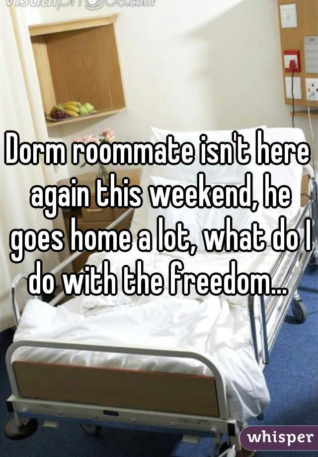 Dorm roommate isn't here again this weekend, he goes home a lot, what do I do with the freedom... 