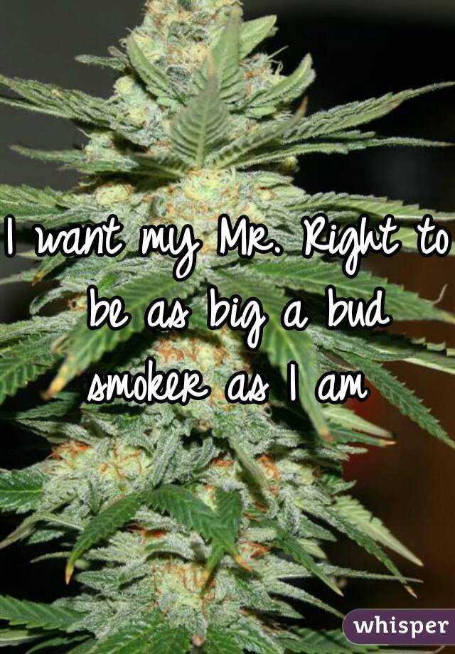 I want my Mr. Right to be as big a bud smoker as I am 