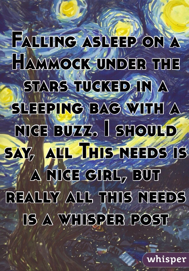 Falling asleep on a Hammock under the stars tucked in a sleeping bag with a nice buzz. I should say,  all This needs is a nice girl, but really all this needs is a whisper post