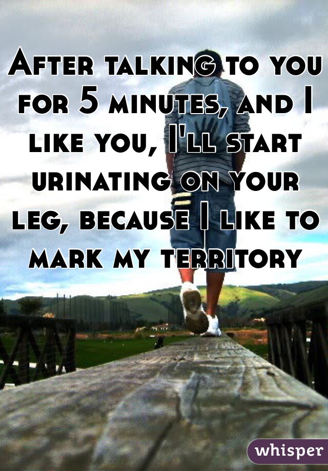 After talking to you for 5 minutes, and I like you, I'll start urinating on your leg, because I like to mark my territory