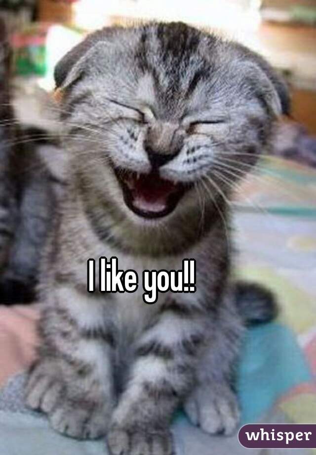 I like you!!