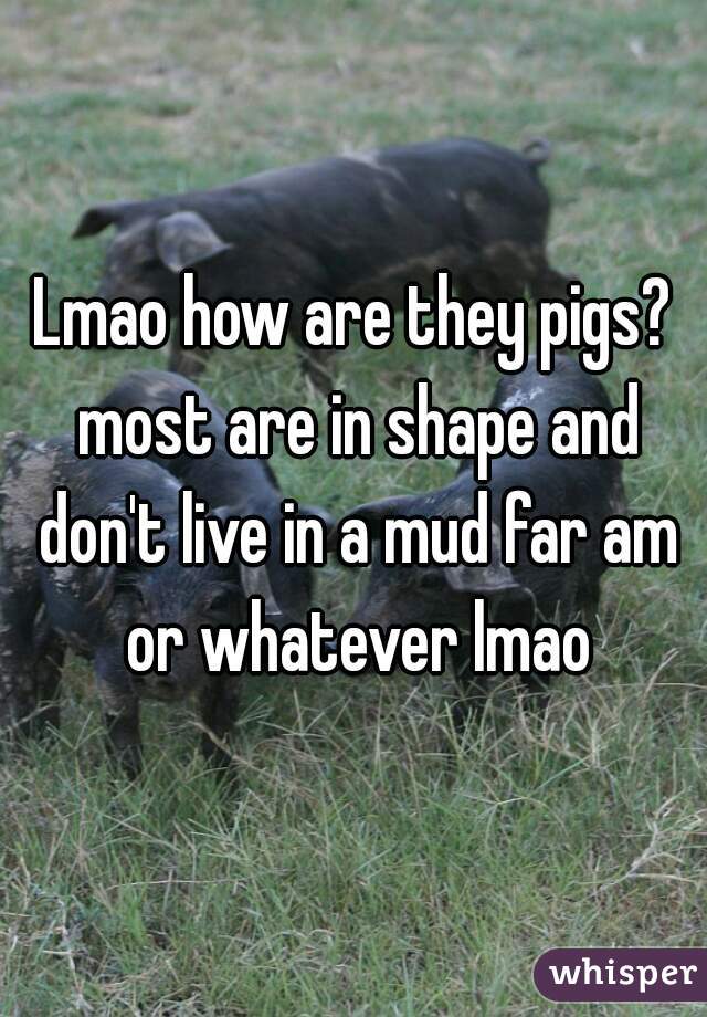 Lmao how are they pigs? most are in shape and don't live in a mud far am or whatever lmao