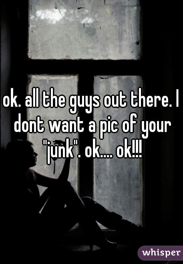 ok. all the guys out there. I dont want a pic of your "junk". ok.... ok!!!