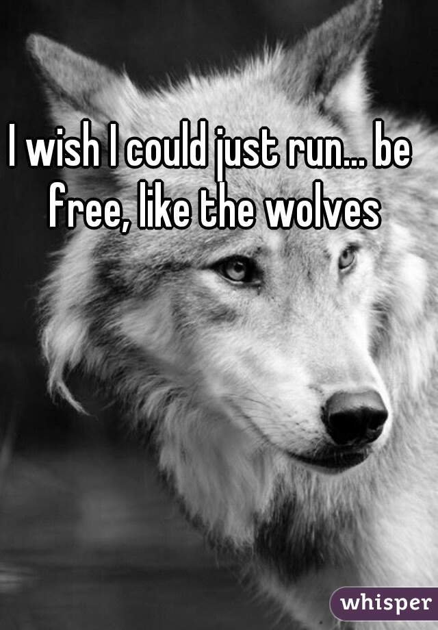 I wish I could just run... be free, like the wolves