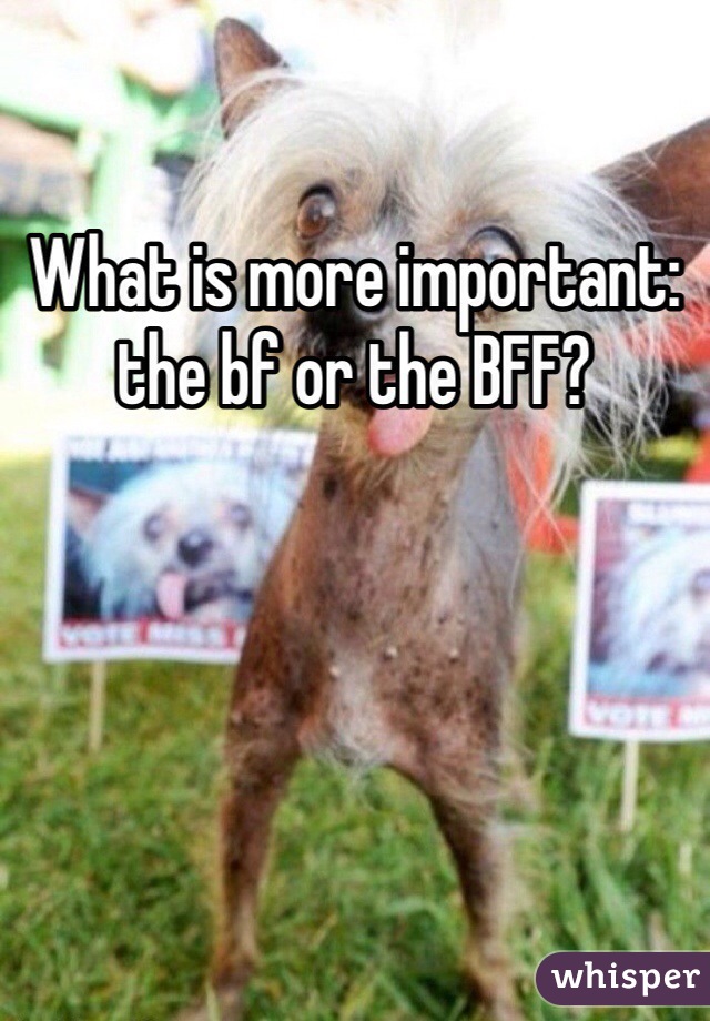 What is more important: the bf or the BFF? 