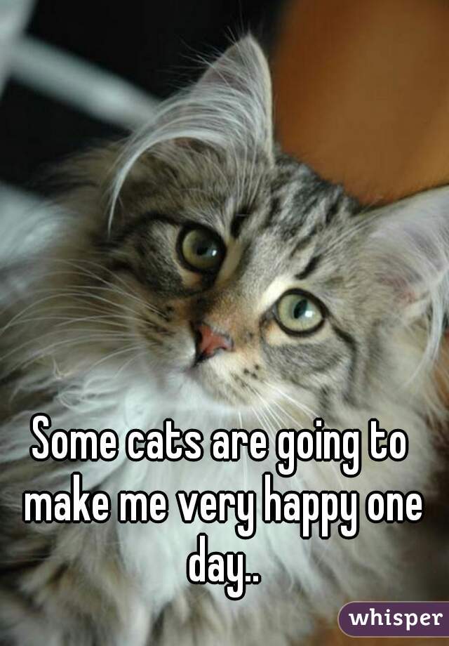 Some cats are going to make me very happy one day..